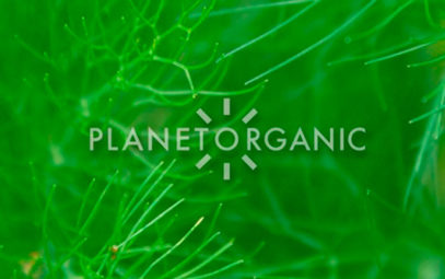 Franquicia Planet Organic
